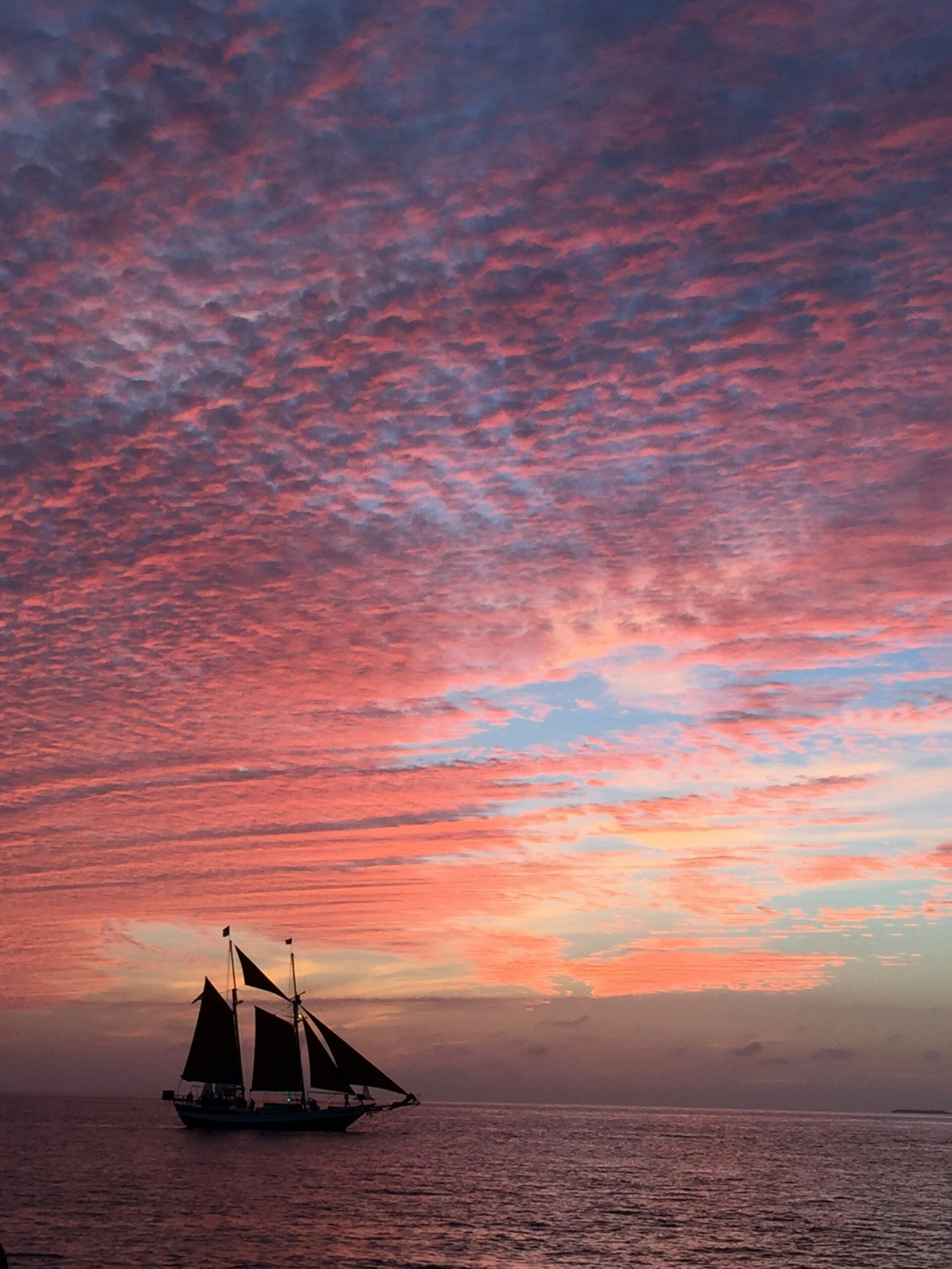 Grub and Grog cruise experience