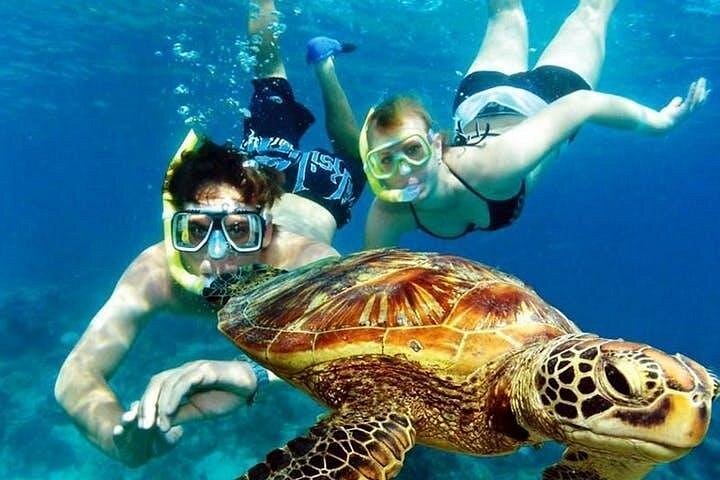 Snorkeling in Aruba